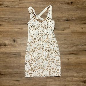 Bodycon lace dress